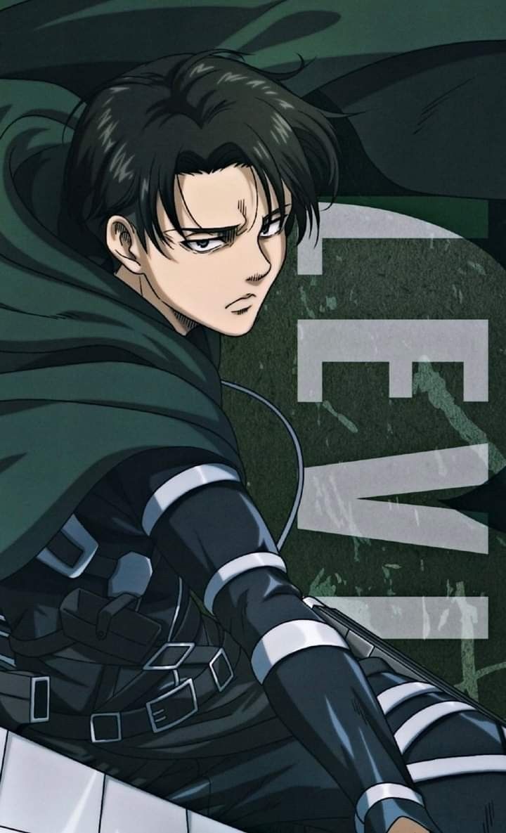 Levi profile card