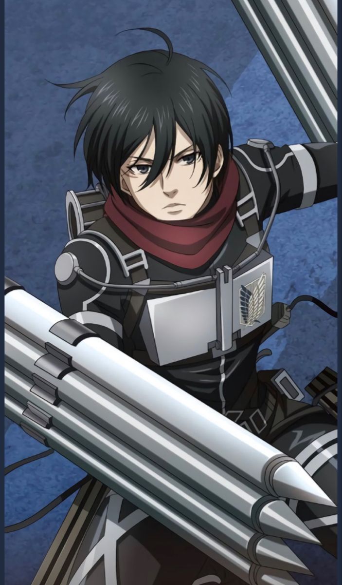 Mikasa profile card