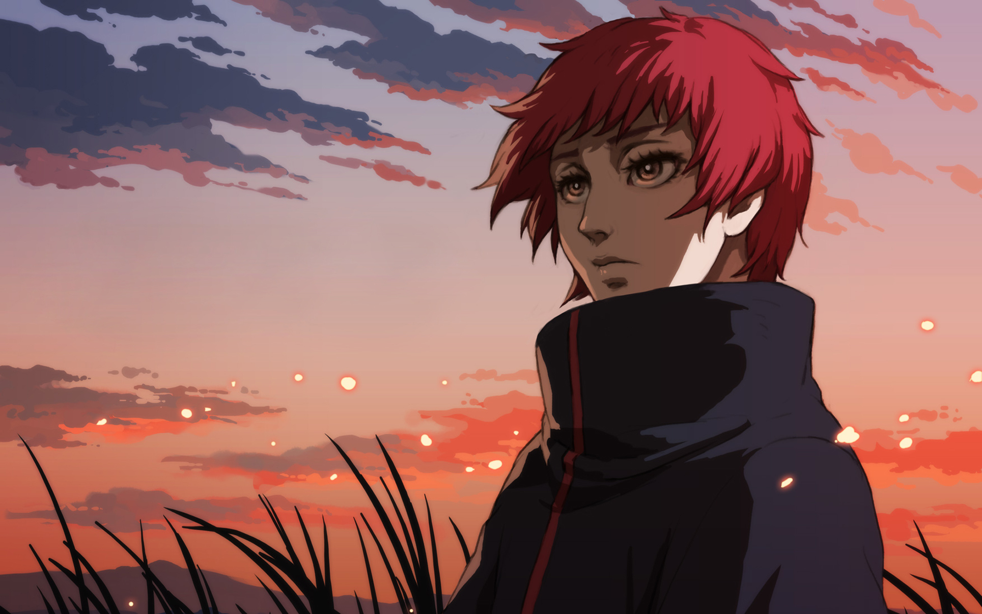 Sasori — hero image