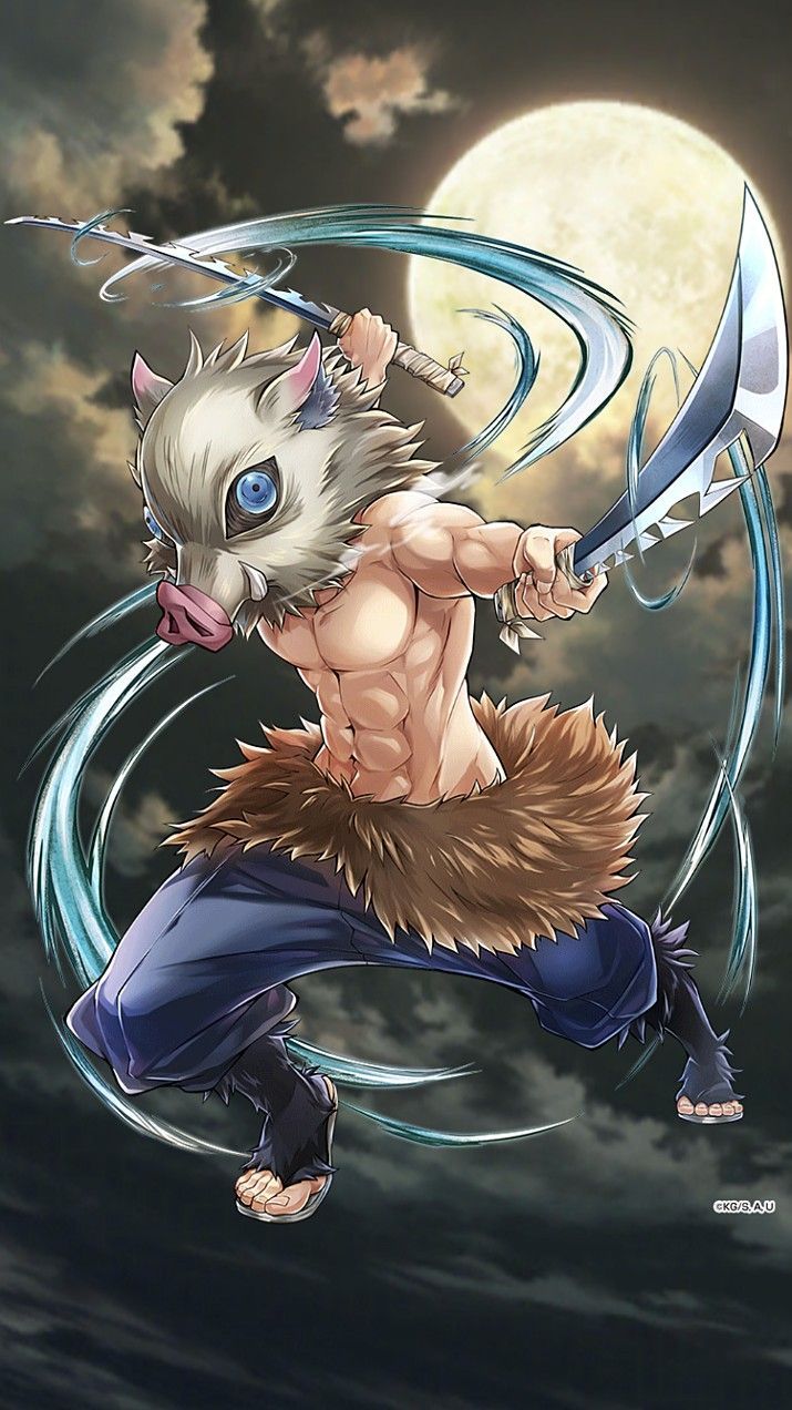 Inosuke Hashibira -hero