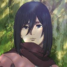 Mikasa -hero